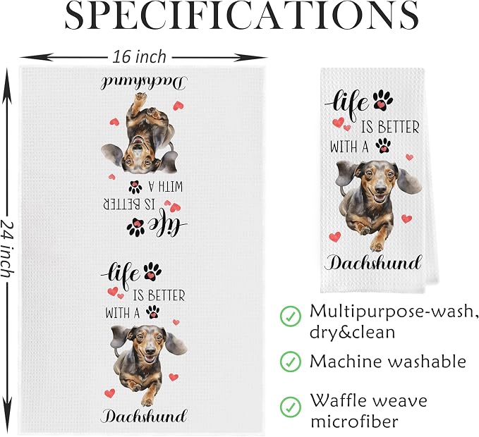 Dachshund