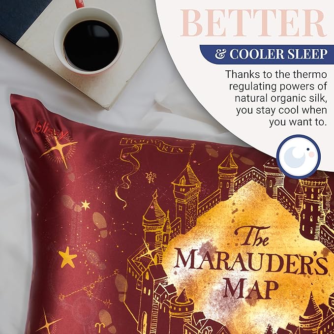 Harry Potter - Marauder's Map