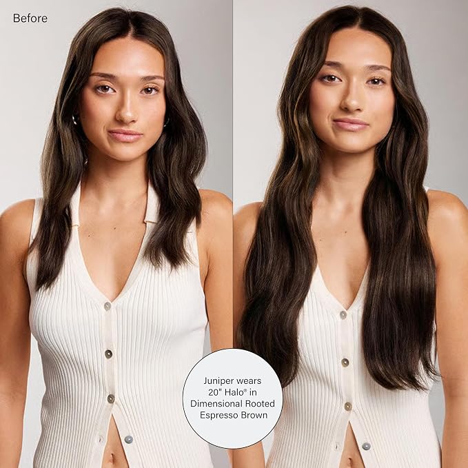 Dimensional Rooted Espresso Brown / D543N