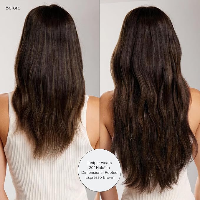 Dimensional Rooted Espresso Brown / D543N