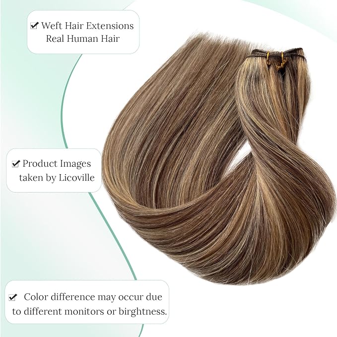 #4/27 Brown and Caramel Blonde Highlights