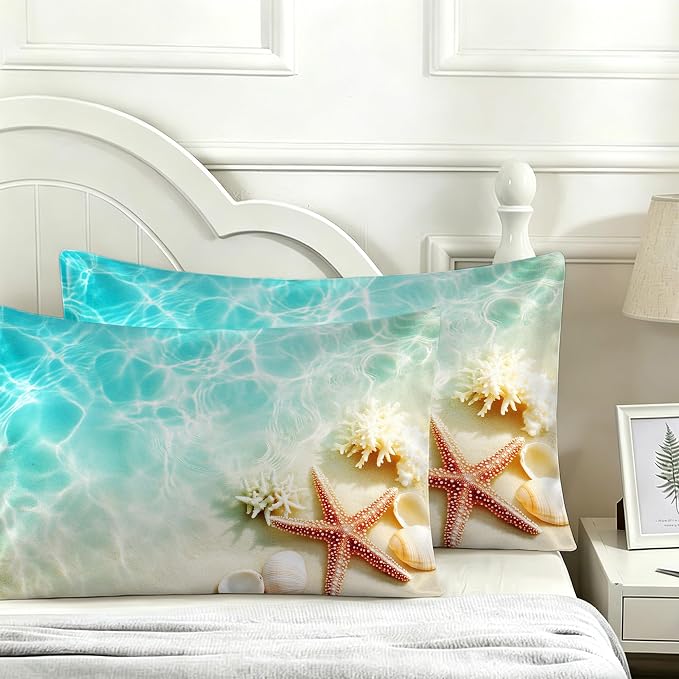 Sea Starfish and Shells Coral
