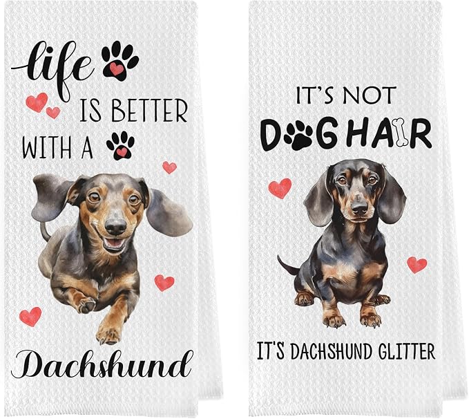 Dachshund