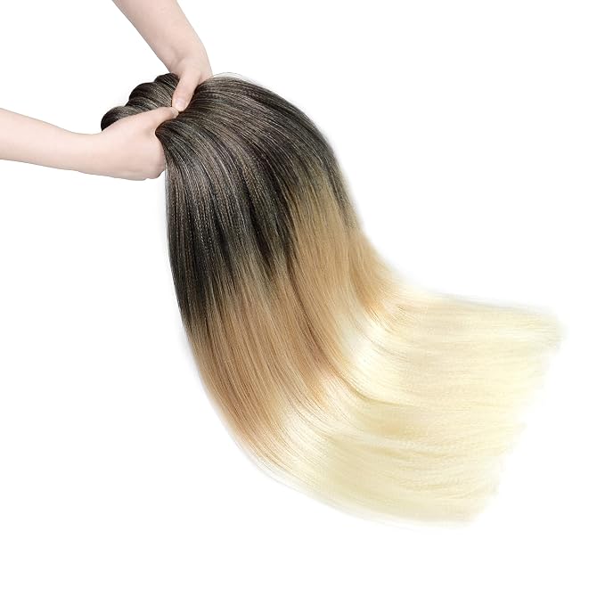 Ombre 1B/27/613