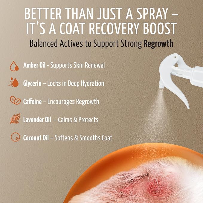 Regrowth Detangling Spray
