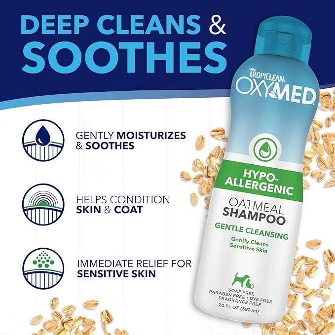 Shampoo