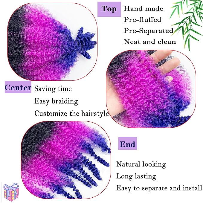 1B/Purple/Blue