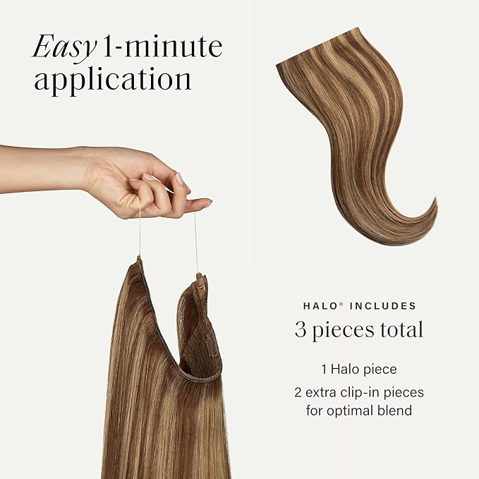 Chestnut Brown Highlights / 6P18
