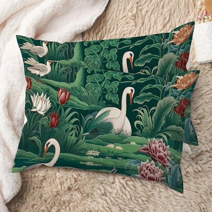 (Pack of 1)