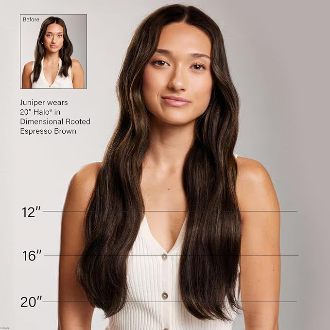 Dimensional Rooted Espresso Brown / D543N